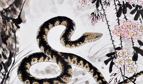 两者共同点：智谋与谨慎