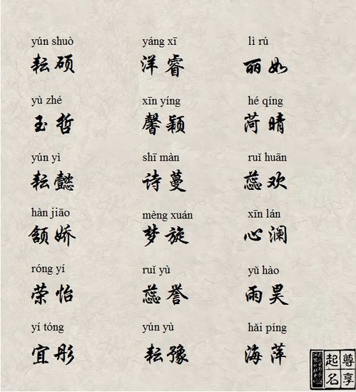 伪·专家提议环节（其实是我瞎编乱造）