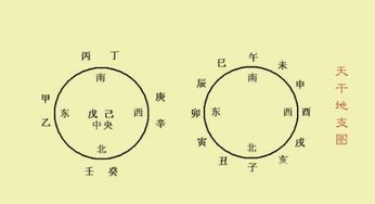 一些常见的最佳婚配组合
