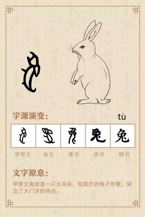 1. 月系字根——柔柔软如绸
