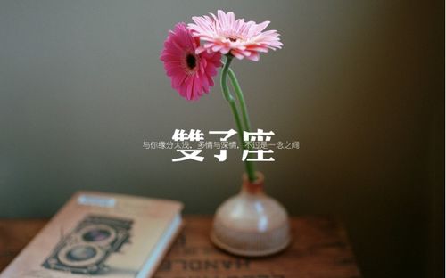 双子座的语言火花：点燃职场的灯塔