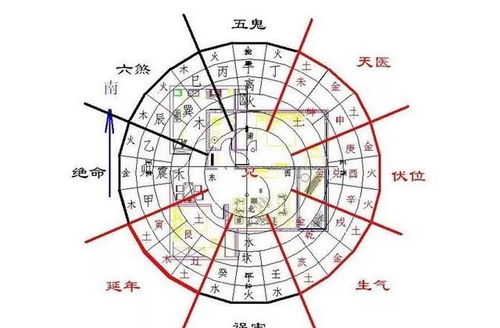 身体健康状况问题