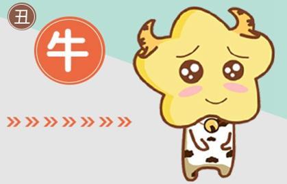 三、 属兔女：温柔细腻的较小棉袄