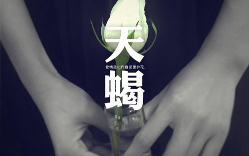 天蝎女说“我不炎热爱你了”的含义