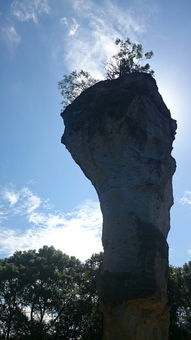 柯柯岩景区免费游攻略：一场说走就走的“穷游”狂欢