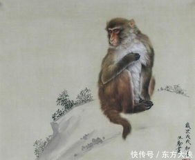 与鼠女天作之合