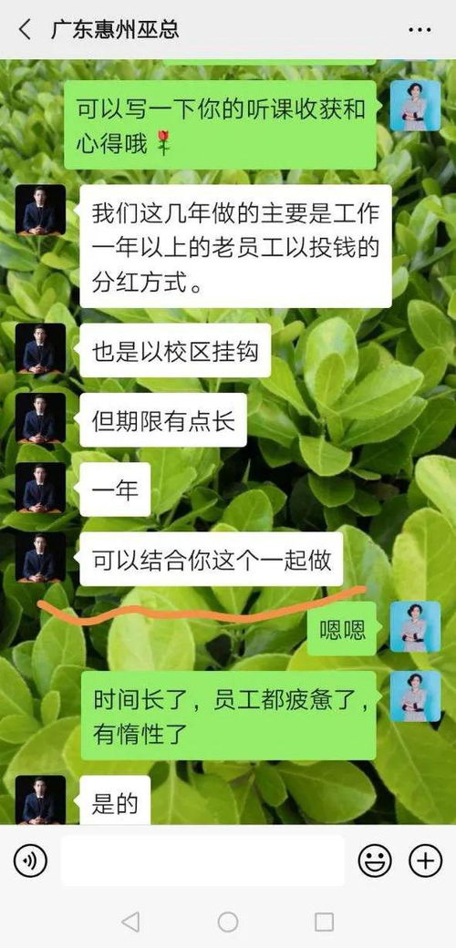 2026年未来近期的天气或黄历（可选）