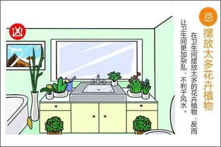 植物净化空气