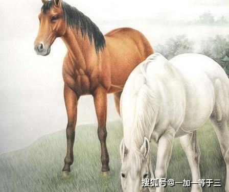 属马和属羊：天作之合