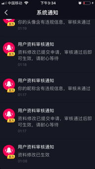鼠：智慧与机智