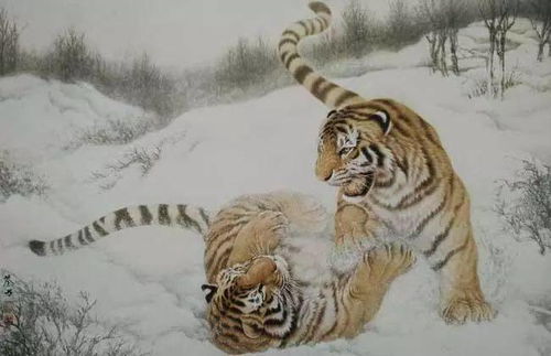 猪—稳中求进