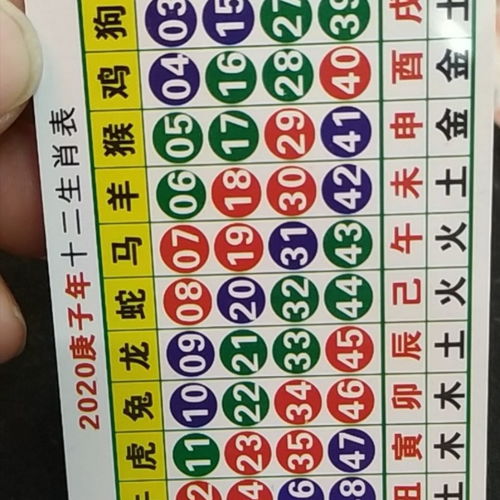 鼠 & 牛 – 静动相济