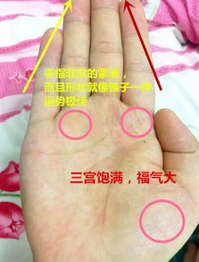星座与生肖：外部世界怎样映射内在纹理？