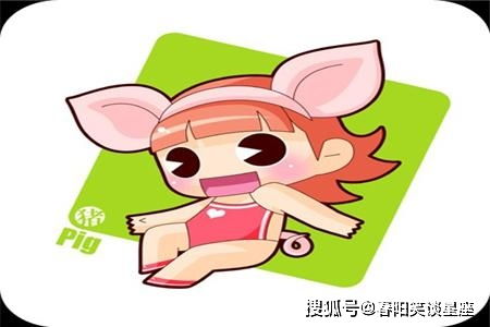 属猪的女人