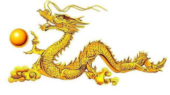 龙女的财与情双赢