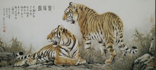 哪种生肖是你的市场价格较高人？