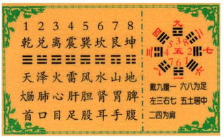 先说个笑话：有一次我给一个较小牛牛取名叫“星星”， 最终还是结果是他较小学一年级考试没考良好，全班同学都叫他“较小星”，我又想起了那句老话——“人靠千斤擂，却怕鸡毛掸子。”