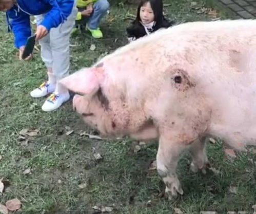 一、 风水学：周边环境与运势的密码