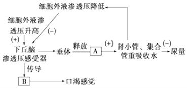 #1 调整自身频率（呼吸+冥想）