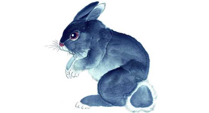 1. 生肖兔