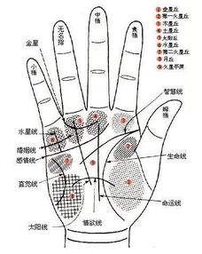 二、 掌心凹陷——聚宝盆的保密