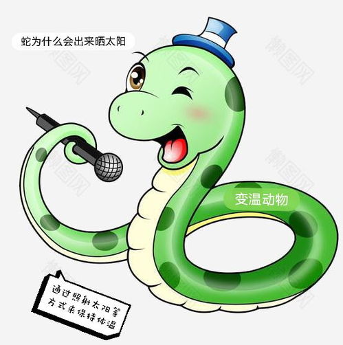 不同五行人的吉日