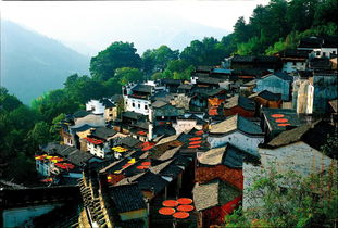 婺源旅游门票优惠攻略，省钱的秘密大公开！
