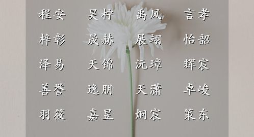 基本思路——韵律 + 意义 + 五行调和