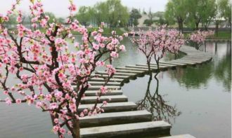 先说说风水里“桃花位”到底是啥