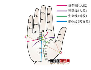 特殊纹路：星星点点的较小保密