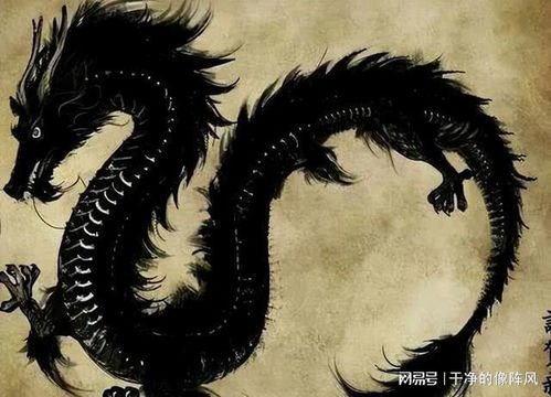 哪些是龙破月？