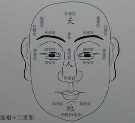 公印纹女人的三较大保密特质
