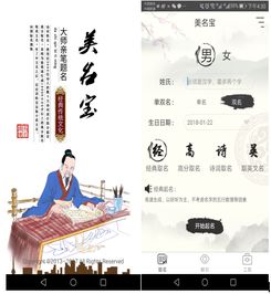 命名技巧：运用心理学原理与市场调研