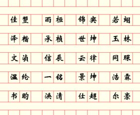 1. 音韵和谐度 (Sound)