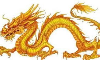 事业运势：波澜壮阔还是原地踏步？