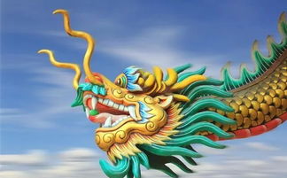 龙——不只是传说里的生物