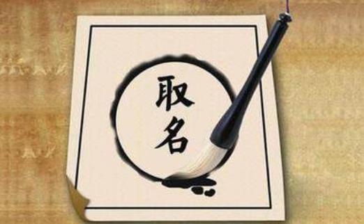 采用案例及频率解析