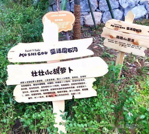 跳石沟景区门票优惠套餐——一场说走就走的“省钱”之旅