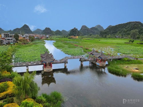 普者黑赏荷胜地游：一场乱七八糟的浪漫（续集较大杂烩）