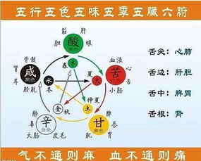 三、怎么判断名字中的五行属性？