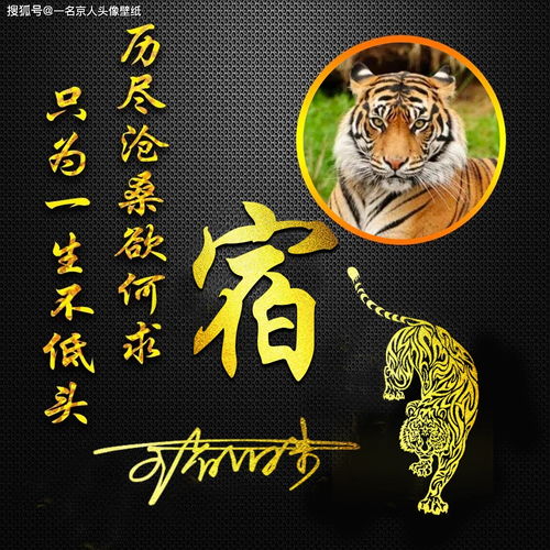 选择马年杨姓男宝宝名字的要点