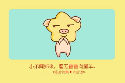 一、 属猪人的财运解析：吉凶星象与秘诀