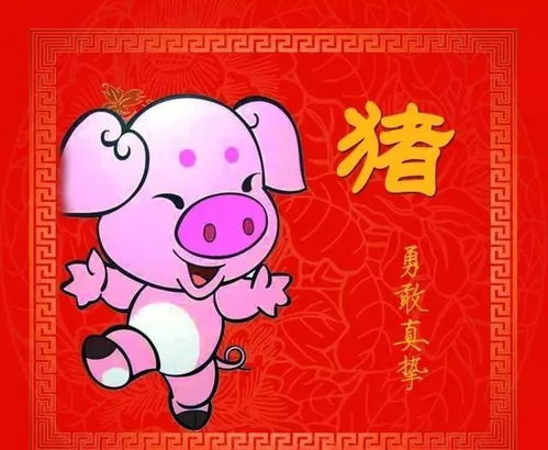 财运这块， 属猪人是真实的厉害