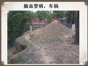 平原坟地风水怎么kan,平原怎样kan坟地风水