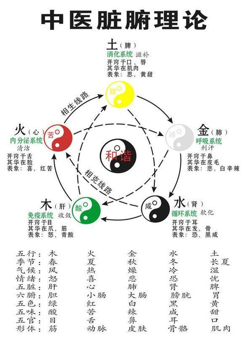 先说说肾子和方位的那点事儿