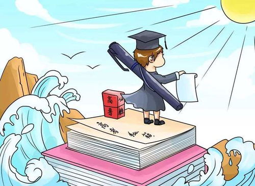 主动学习了解， 提升自我
