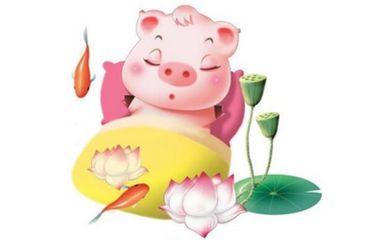 第一推荐：虎宝宝——六合带来的活力