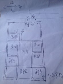 星座与生肖的配合