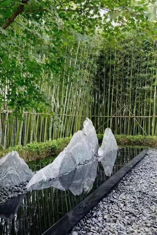 设计提议