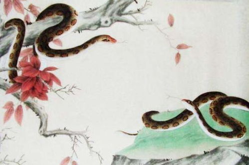 属蛇人的幸运数字